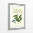 Follaje Woodland Iv - Weddell | Cuadro decorativo de Canvas Lab