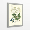 Follaje Woodland Iv - Weddell | Cuadro decorativo de Canvas Lab