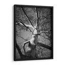 Birch Clásico I - Ethan Harper | Cuadro decorativo de Canvas Lab