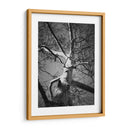 Birch Clásico I - Ethan Harper | Cuadro decorativo de Canvas Lab