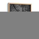 Birch Clásico I - Ethan Harper | Cuadro decorativo de Canvas Lab