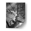 Birch Clásico I - Ethan Harper | Cuadro decorativo de Canvas Lab