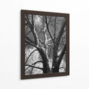 Birch Clásico Ii - Ethan Harper | Cuadro decorativo de Canvas Lab