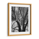 Birch Clásico Ii - Ethan Harper | Cuadro decorativo de Canvas Lab