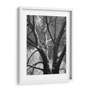 Birch Clásico Ii - Ethan Harper | Cuadro decorativo de Canvas Lab