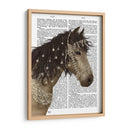 Bucksin De Caballo Con Brida Enjoyada - Fab Funky | Cuadro decorativo de Canvas Lab