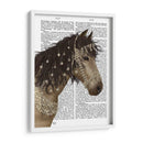 Bucksin De Caballo Con Brida Enjoyada - Fab Funky | Cuadro decorativo de Canvas Lab