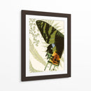 Simetría De Mariposa I - Vision Studio | Cuadro decorativo de Canvas Lab