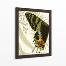 Simetría De Mariposa I - Vision Studio | Cuadro decorativo de Canvas Lab