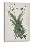 Colección De Hierbas D - Grace Popp | Cuadro decorativo de Canvas Lab