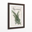 Colección De Hierbas D - Grace Popp | Cuadro decorativo de Canvas Lab
