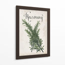 Colección De Hierbas D - Grace Popp | Cuadro decorativo de Canvas Lab