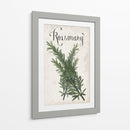 Colección De Hierbas D - Grace Popp | Cuadro decorativo de Canvas Lab