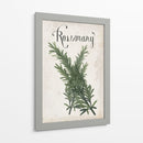 Colección De Hierbas D - Grace Popp | Cuadro decorativo de Canvas Lab