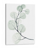 Dólares De Plata I - Jennifer Paxton Parker | Cuadro decorativo de Canvas Lab