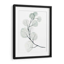 Dólares De Plata I - Jennifer Paxton Parker | Cuadro decorativo de Canvas Lab