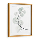 Dólares De Plata I - Jennifer Paxton Parker | Cuadro decorativo de Canvas Lab