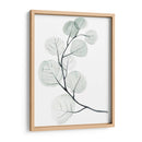 Dólares De Plata I - Jennifer Paxton Parker | Cuadro decorativo de Canvas Lab