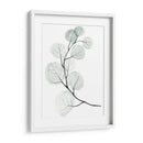 Dólares De Plata I - Jennifer Paxton Parker | Cuadro decorativo de Canvas Lab