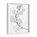 Dólares De Plata I - Jennifer Paxton Parker | Cuadro decorativo de Canvas Lab