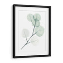 Dólares De Plata Ii - Jennifer Paxton Parker | Cuadro decorativo de Canvas Lab