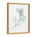 Dólares De Plata Ii - Jennifer Paxton Parker | Cuadro decorativo de Canvas Lab