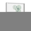 Dólares De Plata Ii - Jennifer Paxton Parker | Cuadro decorativo de Canvas Lab