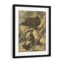 Pequeño Oso Marrón - Friedrich Specht | Cuadro decorativo de Canvas Lab