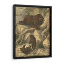 Pequeño Oso Marrón - Friedrich Specht | Cuadro decorativo de Canvas Lab