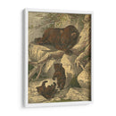 Pequeño Oso Marrón - Friedrich Specht | Cuadro decorativo de Canvas Lab