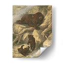 Pequeño Oso Marrón - Friedrich Specht | Cuadro decorativo de Canvas Lab