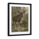 Pequeño Alce - Friedrich Specht | Cuadro decorativo de Canvas Lab