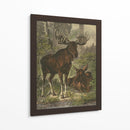Pequeño Alce - Friedrich Specht | Cuadro decorativo de Canvas Lab