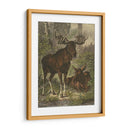 Pequeño Alce - Friedrich Specht | Cuadro decorativo de Canvas Lab