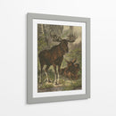 Pequeño Alce - Friedrich Specht | Cuadro decorativo de Canvas Lab