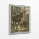 Pequeño Alce - Friedrich Specht | Cuadro decorativo de Canvas Lab