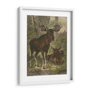 Pequeño Alce - Friedrich Specht | Cuadro decorativo de Canvas Lab