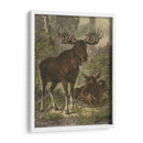 Pequeño Alce - Friedrich Specht | Cuadro decorativo de Canvas Lab