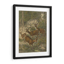 Pequeños Ciervos - Friedrich Specht | Cuadro decorativo de Canvas Lab