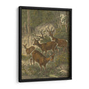 Pequeños Ciervos - Friedrich Specht | Cuadro decorativo de Canvas Lab