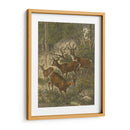 Pequeños Ciervos - Friedrich Specht | Cuadro decorativo de Canvas Lab