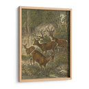 Pequeños Ciervos - Friedrich Specht | Cuadro decorativo de Canvas Lab