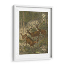 Pequeños Ciervos - Friedrich Specht | Cuadro decorativo de Canvas Lab