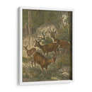 Pequeños Ciervos - Friedrich Specht | Cuadro decorativo de Canvas Lab