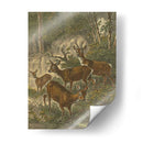 Pequeños Ciervos - Friedrich Specht | Cuadro decorativo de Canvas Lab
