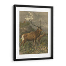 Pequeños Ciervos Rojos - Friedrich Specht | Cuadro decorativo de Canvas Lab