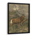 Pequeños Ciervos Rojos - Friedrich Specht | Cuadro decorativo de Canvas Lab