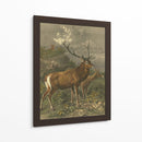 Pequeños Ciervos Rojos - Friedrich Specht | Cuadro decorativo de Canvas Lab