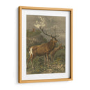 Pequeños Ciervos Rojos - Friedrich Specht | Cuadro decorativo de Canvas Lab