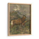 Pequeños Ciervos Rojos - Friedrich Specht | Cuadro decorativo de Canvas Lab